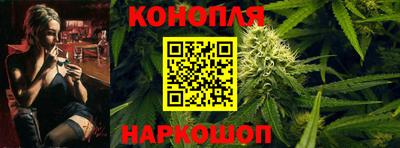 МДПВ Гусев