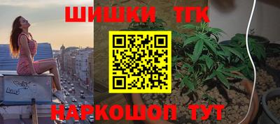 МДПВ Гусев