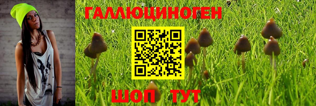 Шатура  Галлюциногенные грибы ЛСД  Вход с VPN  Псилоцибиновые грибы MAGIC MUSHROOMS 